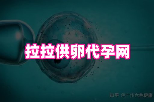nub孕网 2