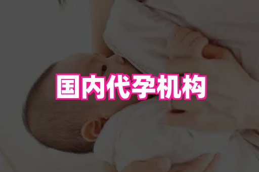nub孕网 4